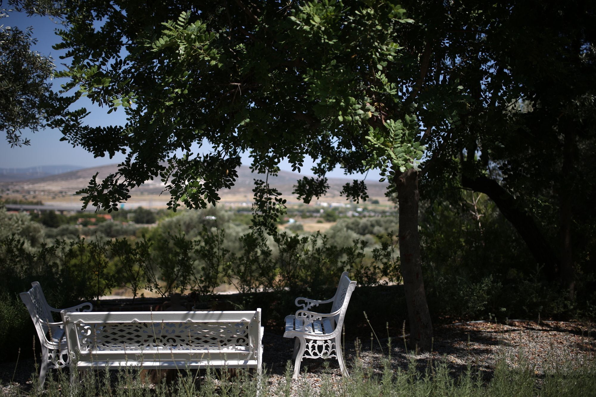 Villa Taraca Alacati Romantik Otel (Adults Only) Luaran gambar